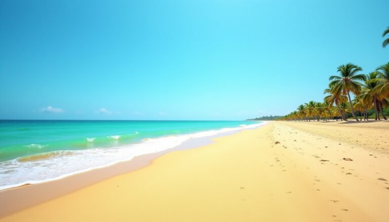 À quel moment de la journée éviter la plage pour une visite optimale ?